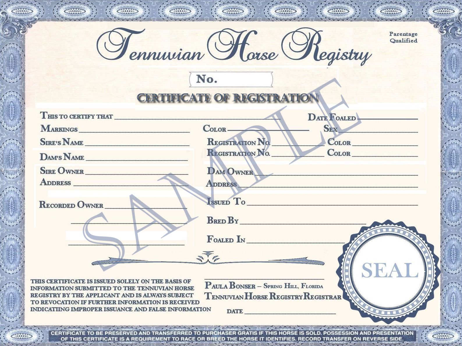 Registry Certificate судна. Sole trader Registry Certification.